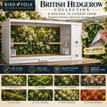 British Hedgerow — Self-Adhesive Breeding Cage Backdrops