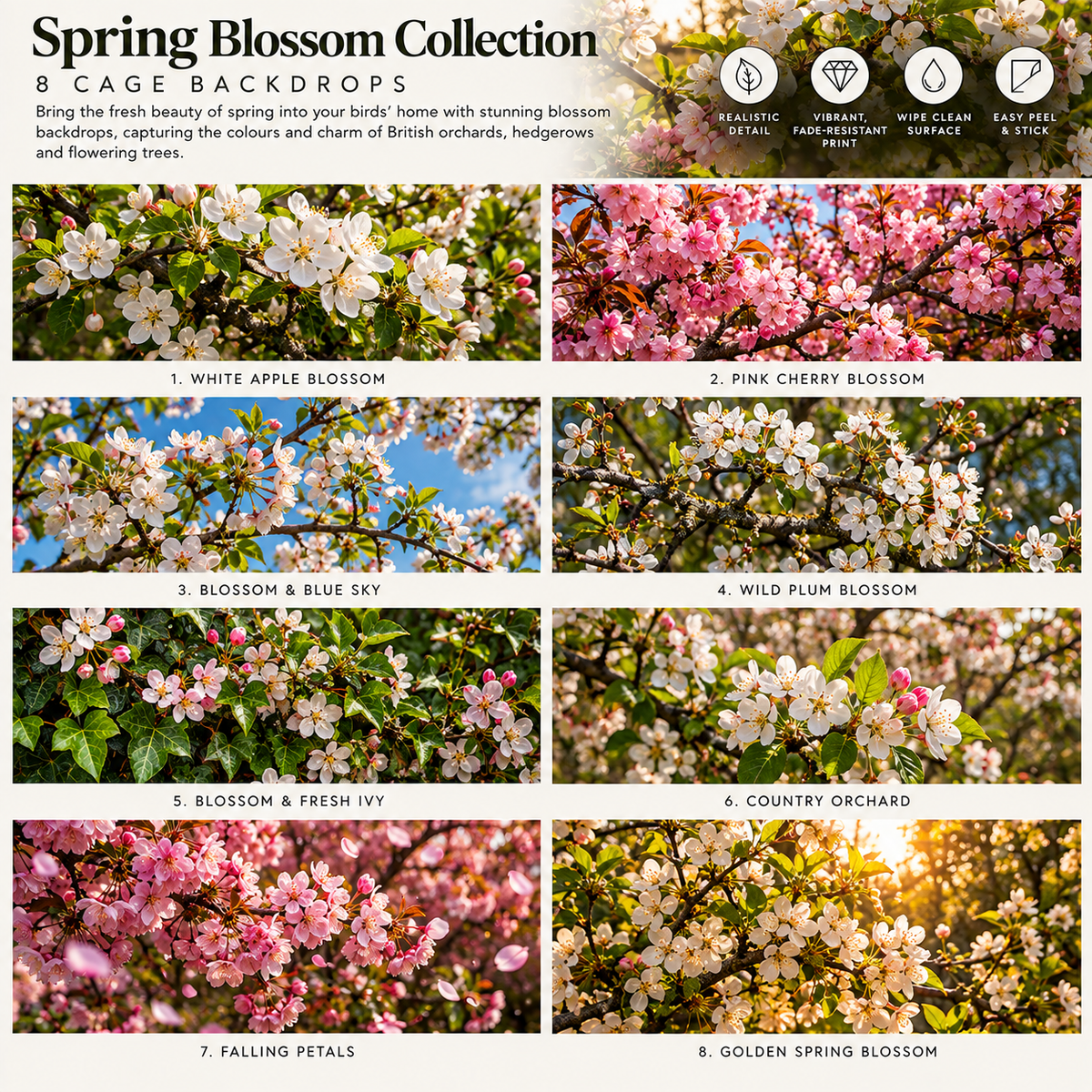 Spring Blossom — Self-Adhesive Breeding Cage Backdrops