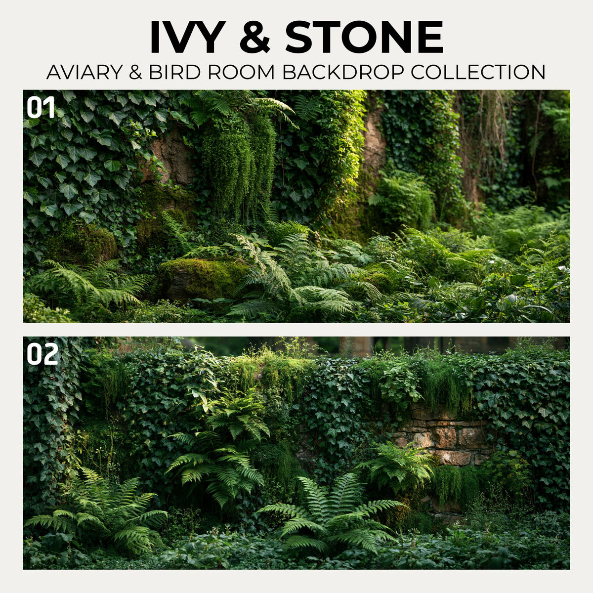 Ivy & Stone — Aviary & Bird Room Backdrop Collection