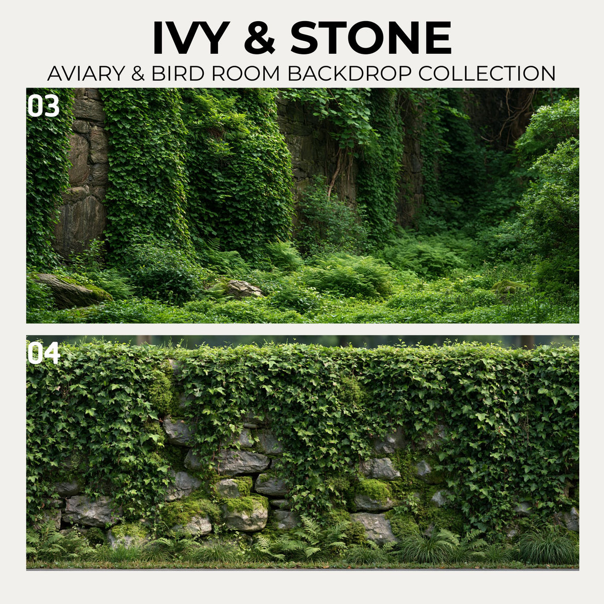 Ivy & Stone — Aviary & Bird Room Backdrop Collection