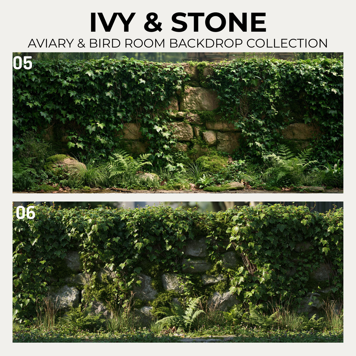 Ivy & Stone — Aviary & Bird Room Backdrop Collection