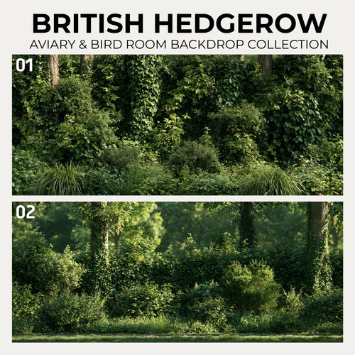 British Hedgerow — Aviary & Bird Room Backdrop Collection
