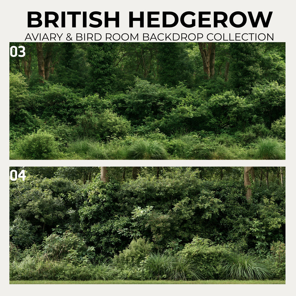 British Hedgerow — Aviary & Bird Room Backdrop Collection