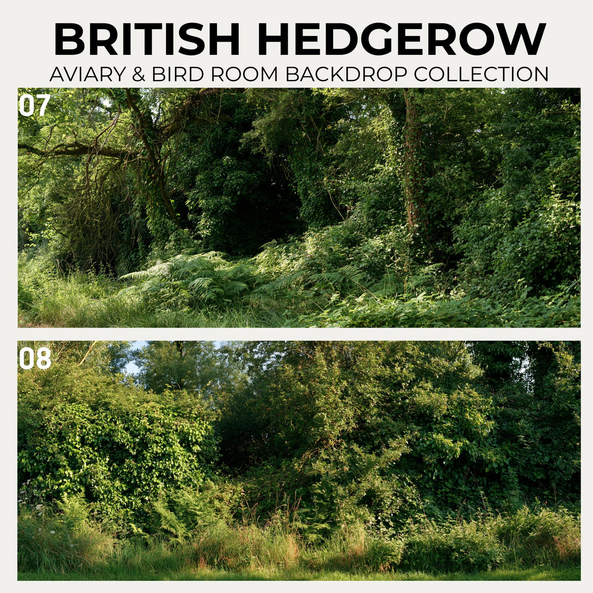British Hedgerow — Aviary & Bird Room Backdrop Collection