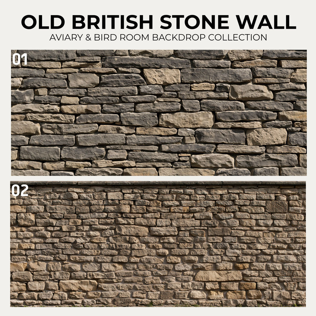 Old British Stone Wall — Aviary & Bird Room Backdrop Collection