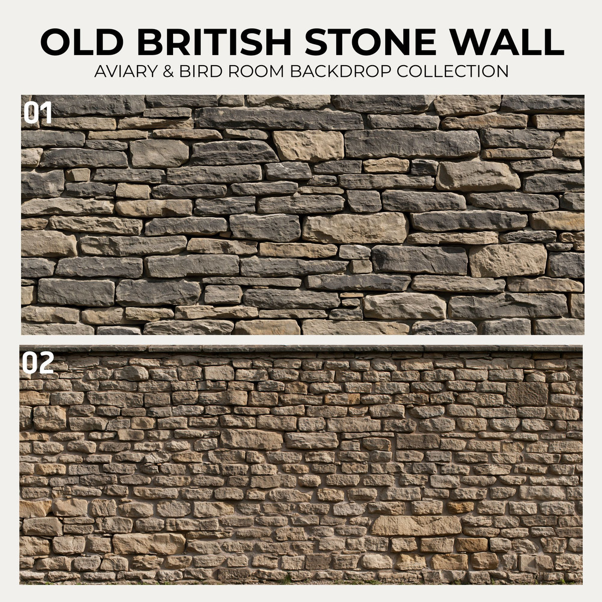 Old British Stone Wall — Aviary & Bird Room Backdrop Collection