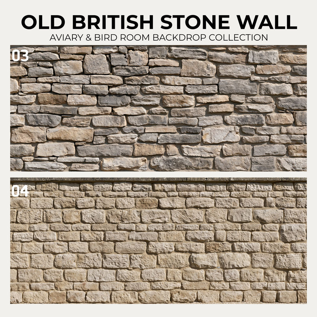 Old British Stone Wall — Aviary & Bird Room Backdrop Collection