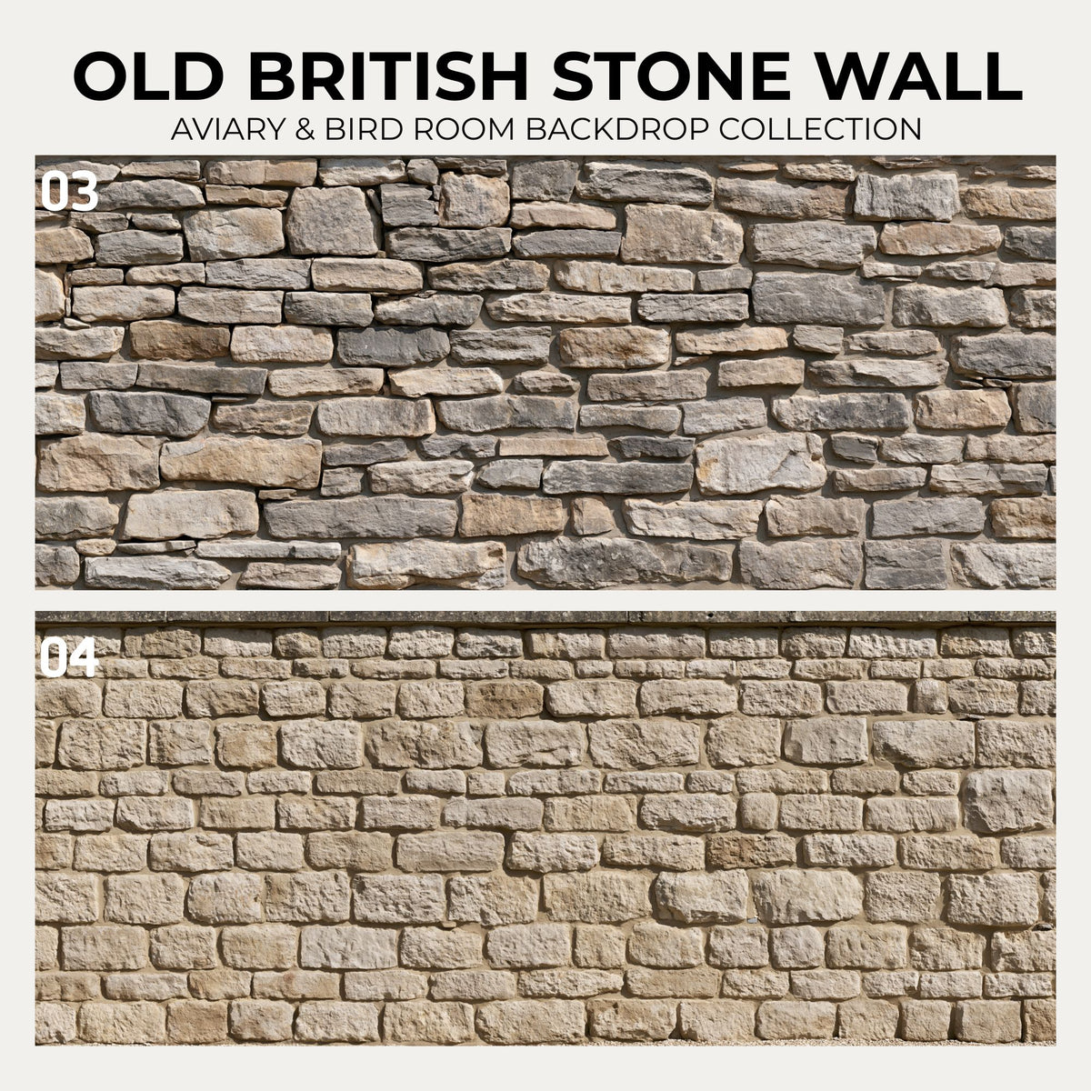Old British Stone Wall — Aviary & Bird Room Backdrop Collection