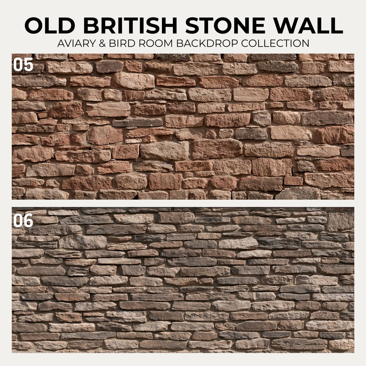 Old British Stone Wall — Aviary & Bird Room Backdrop Collection