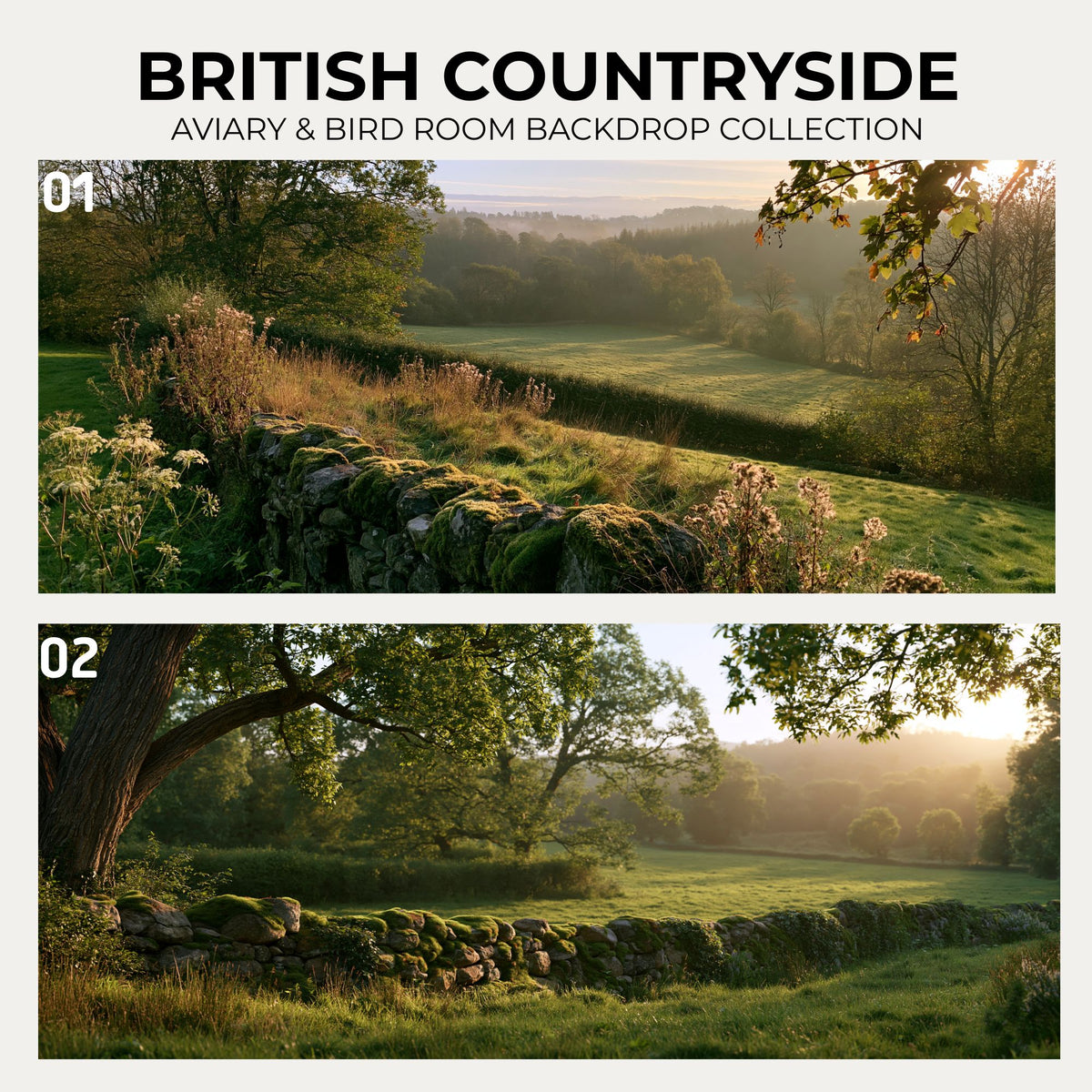 British Countryside — Aviary & Bird Room Backdrop Collection