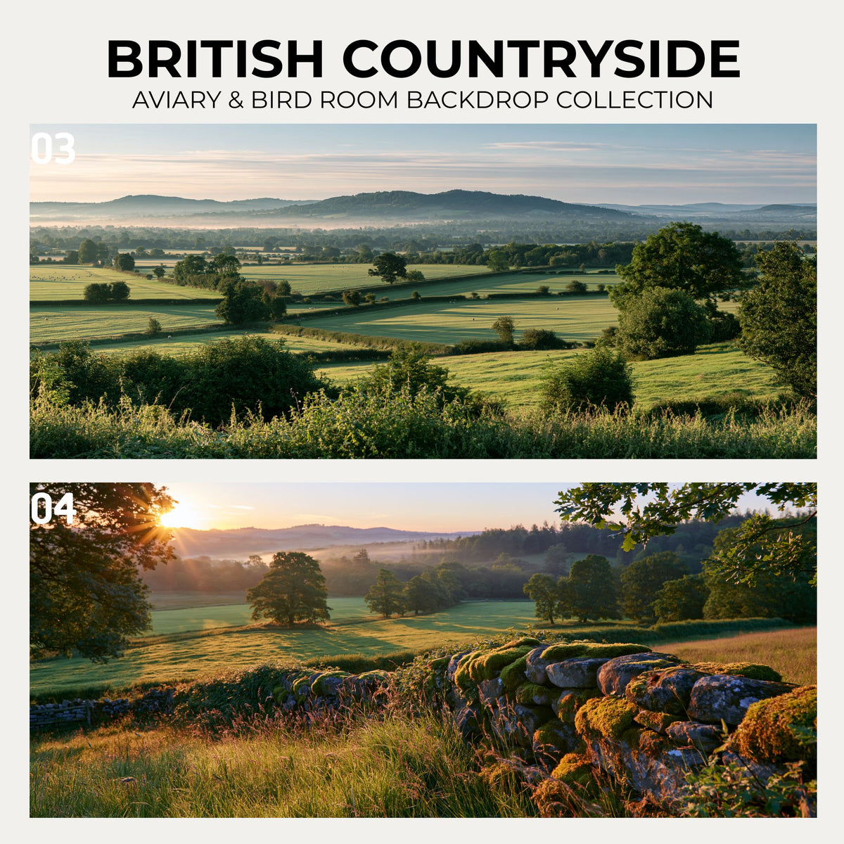 British Countryside — Aviary & Bird Room Backdrop Collection