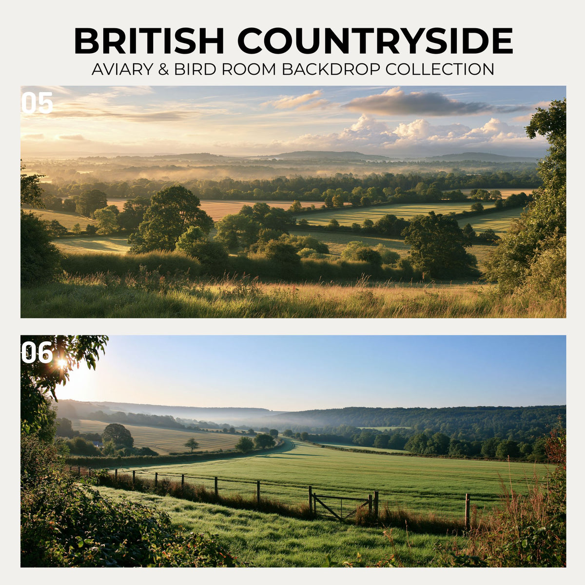British Countryside — Aviary & Bird Room Backdrop Collection