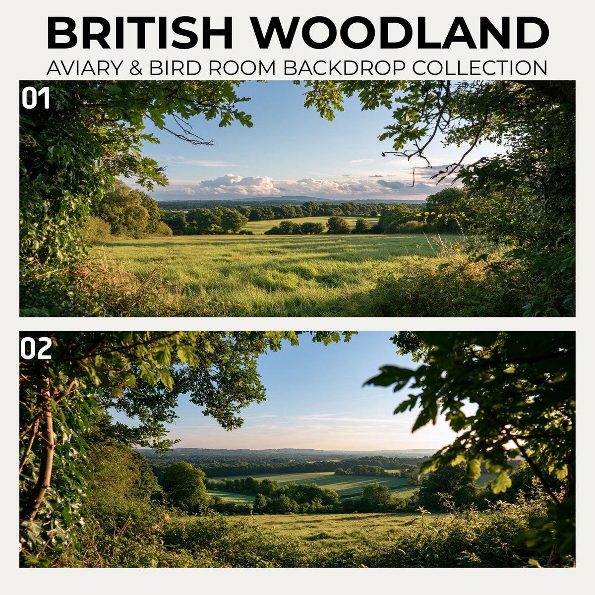 British Woodland — Aviary & Bird Room Backdrop Collection