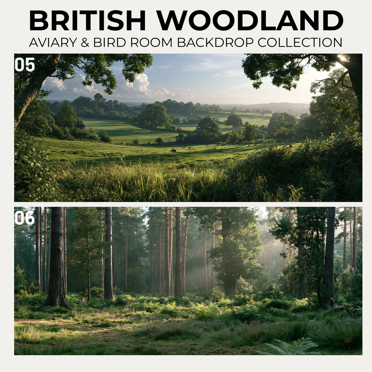 British Woodland — Aviary & Bird Room Backdrop Collection