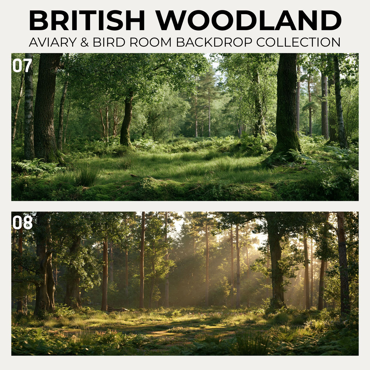 British Woodland — Aviary & Bird Room Backdrop Collection