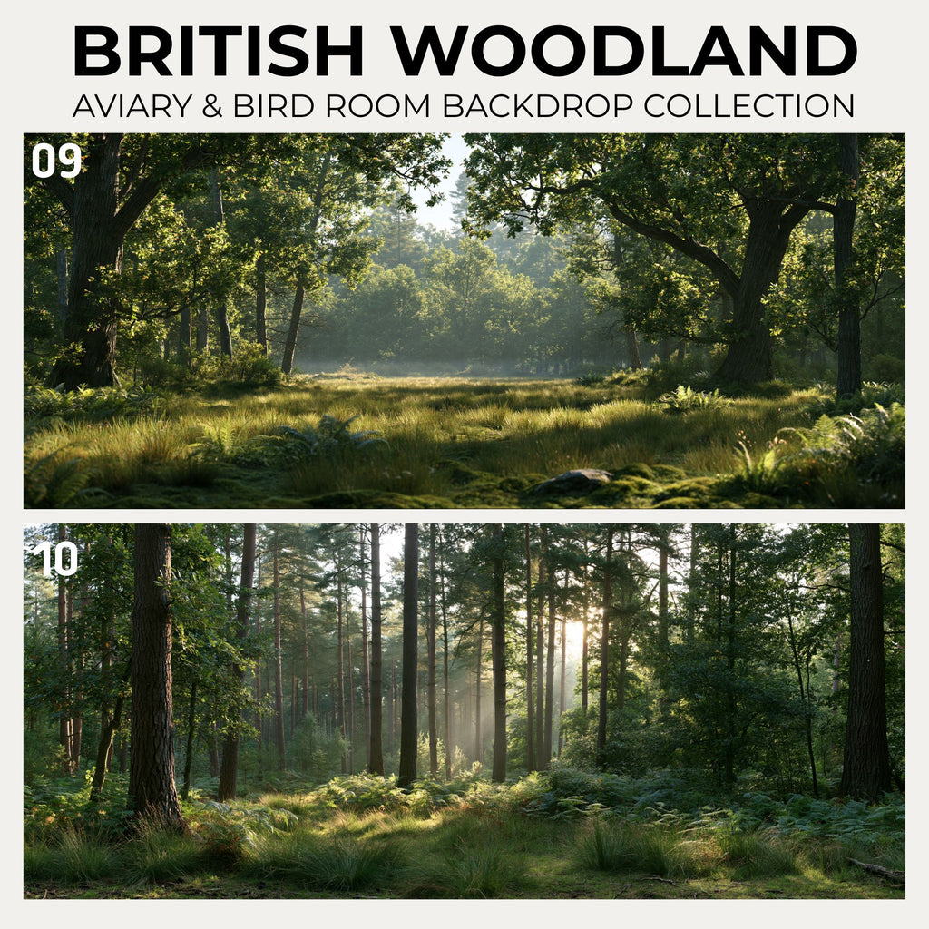 British Woodland — Aviary & Bird Room Backdrop Collection