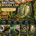 British Woodland — Aviary & Bird Room Backdrop Collection