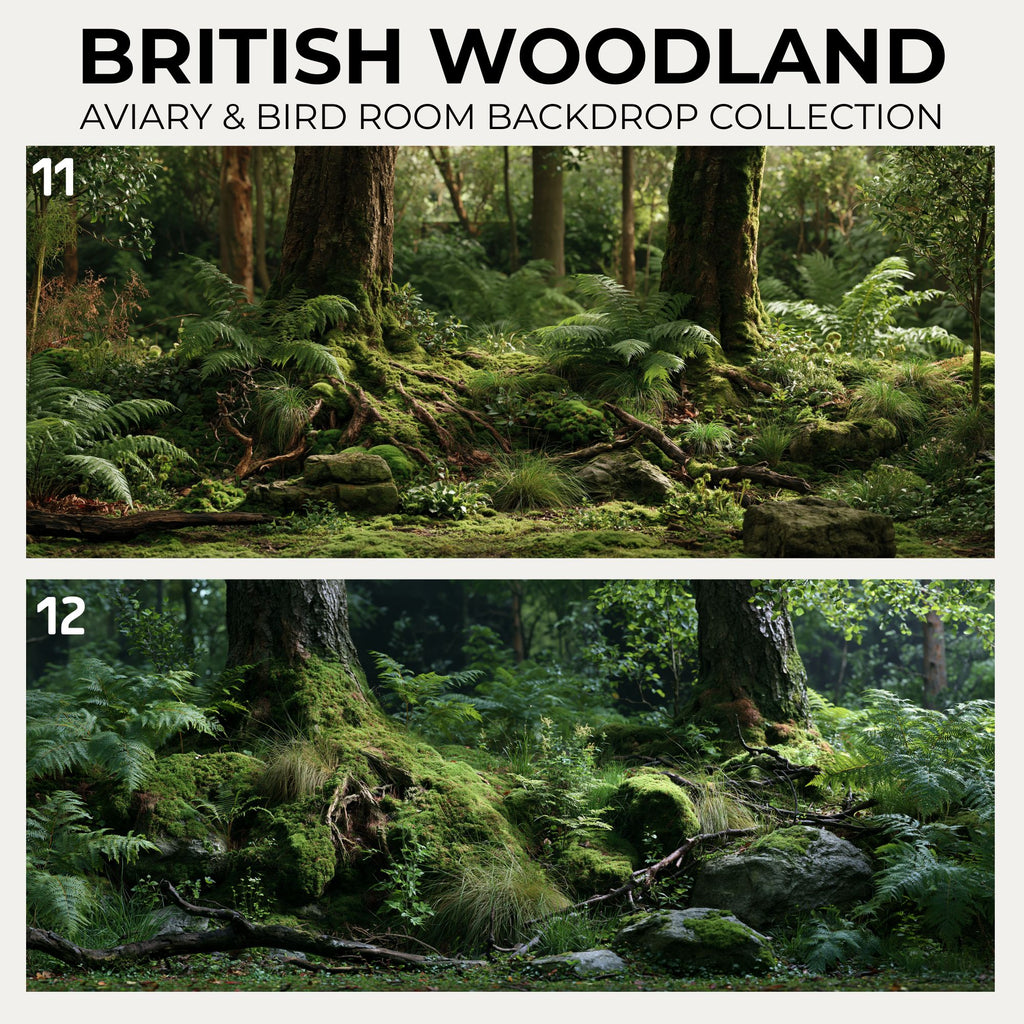 British Woodland — Aviary & Bird Room Backdrop Collection