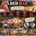 Red Bar Pigeon Outdoor Wrap Collection
