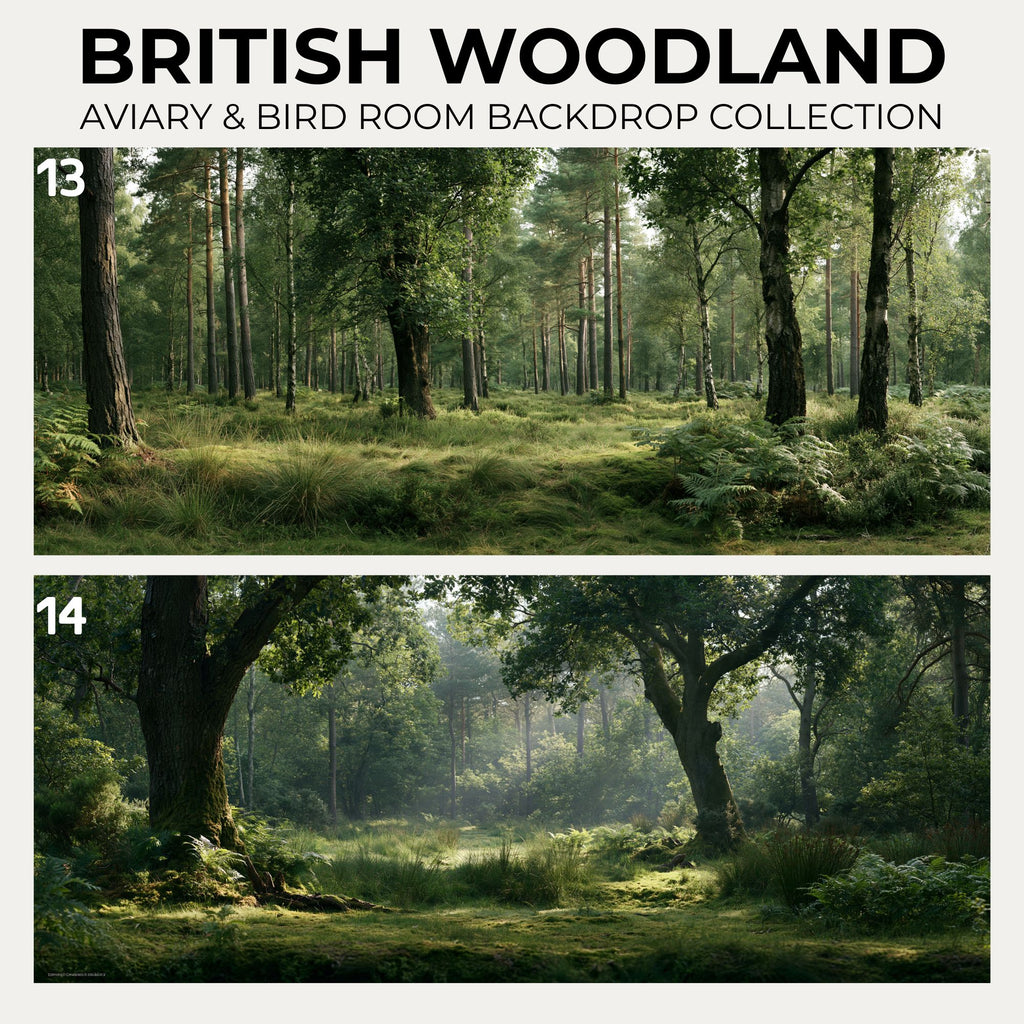British Woodland — Aviary & Bird Room Backdrop Collection