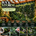 Ivy & Stone — Aviary & Bird Room Backdrop Collection