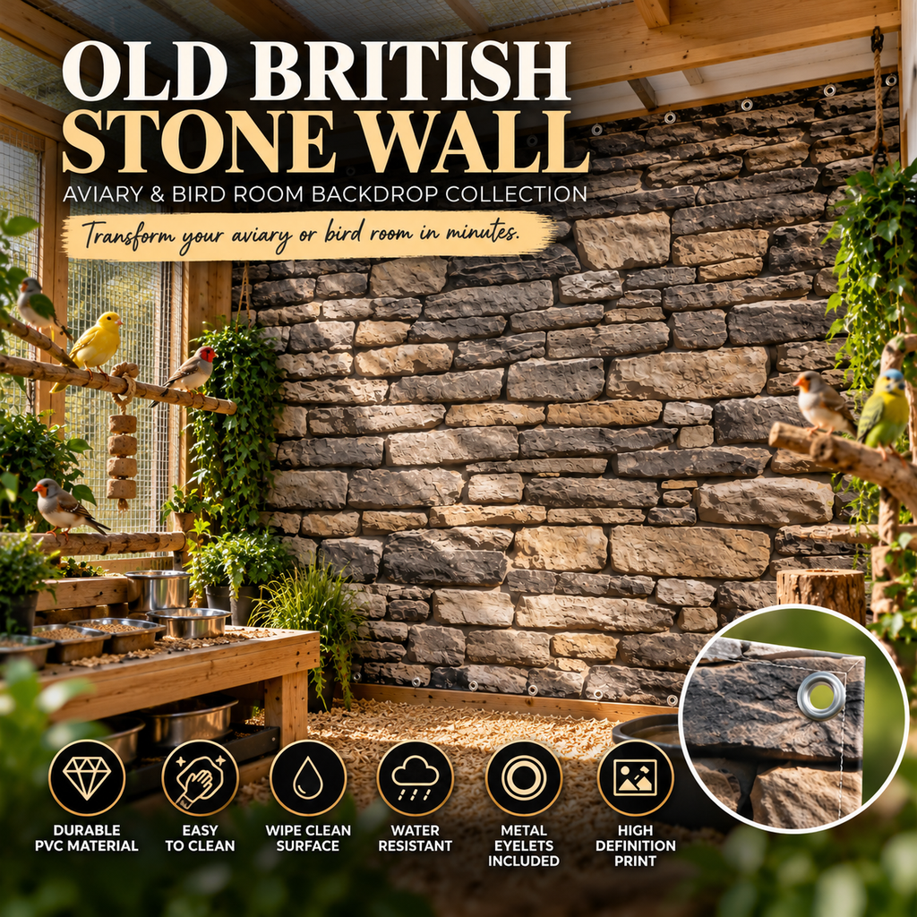 Old British Stone Wall — Aviary & Bird Room Backdrop Collection
