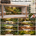 Woodland Floor — Self-Adhesive Breeding Cage Backdrops