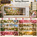 Spring Blossom — Self-Adhesive Breeding Cage Backdrops