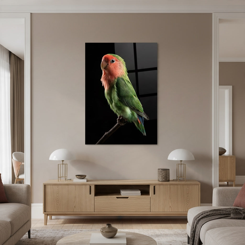 Peach-faced Lovebird — high-gloss aluminium bird art print by Bird Folk — product image 2