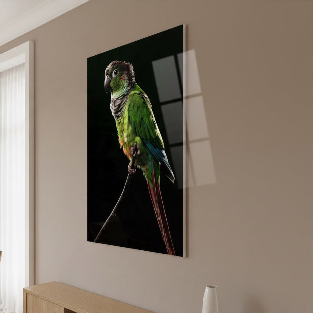 Green-cheeked Conure — high-gloss aluminium bird art print by Bird Folk — product image 3