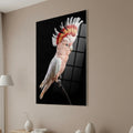 Major Mitchell’s Cockatoo — high-gloss aluminium bird art print by Bird Folk