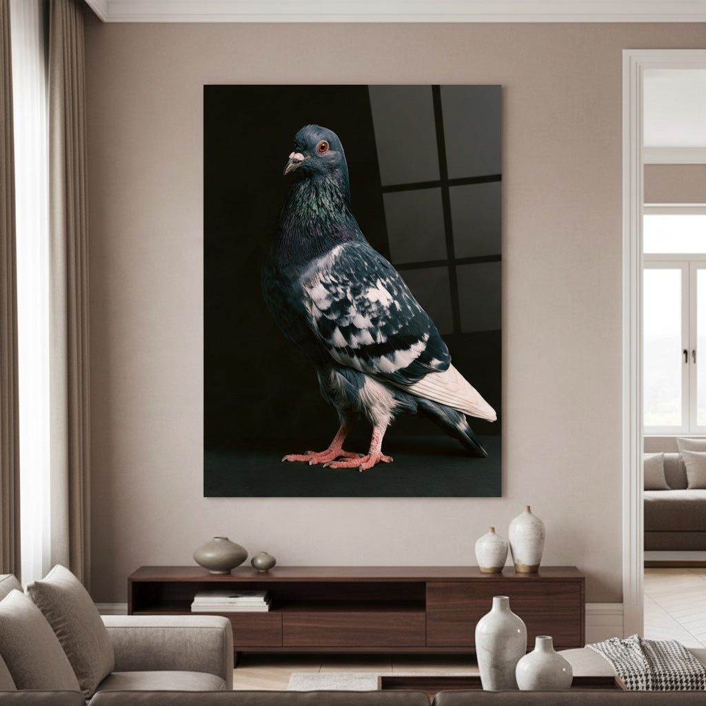 Pied Racing Pigeon — high-gloss aluminium bird art print by Bird Folk — product image 4