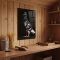 Pied Racing Pigeon — high-gloss aluminium bird art print by Bird Folk