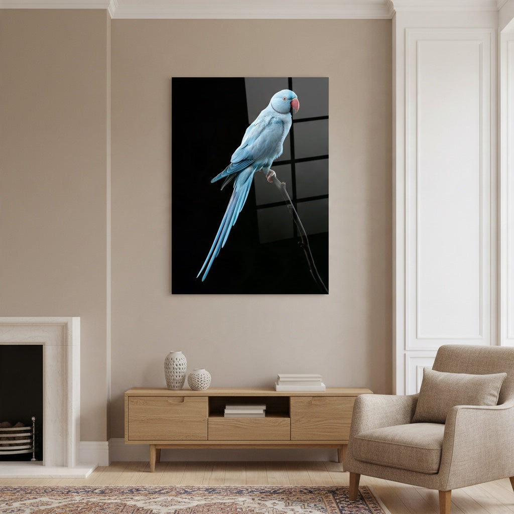 Blue Indian Ringneck — high-gloss aluminium bird art print by Bird Folk