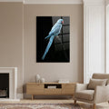 Blue Indian Ringneck — high-gloss aluminium bird art print by Bird Folk