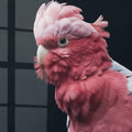 Galah Cockatoo — high-gloss aluminium bird art print by Bird Folk