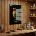 Star Finch — high-gloss aluminium bird art print by Bird Folk