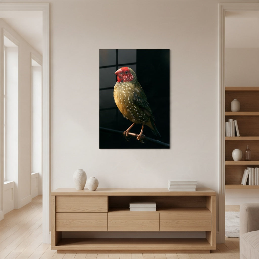 Star Finch — high-gloss aluminium bird art print by Bird Folk — product image 2