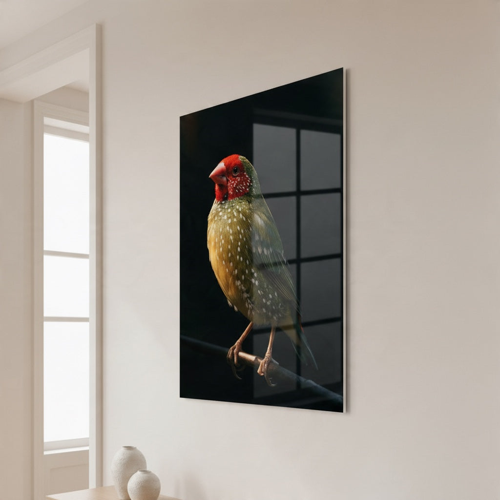 Star Finch — high-gloss aluminium bird art print by Bird Folk — product image 4