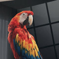 Scarlet Macaw — high-gloss aluminium bird art print by Bird Folk