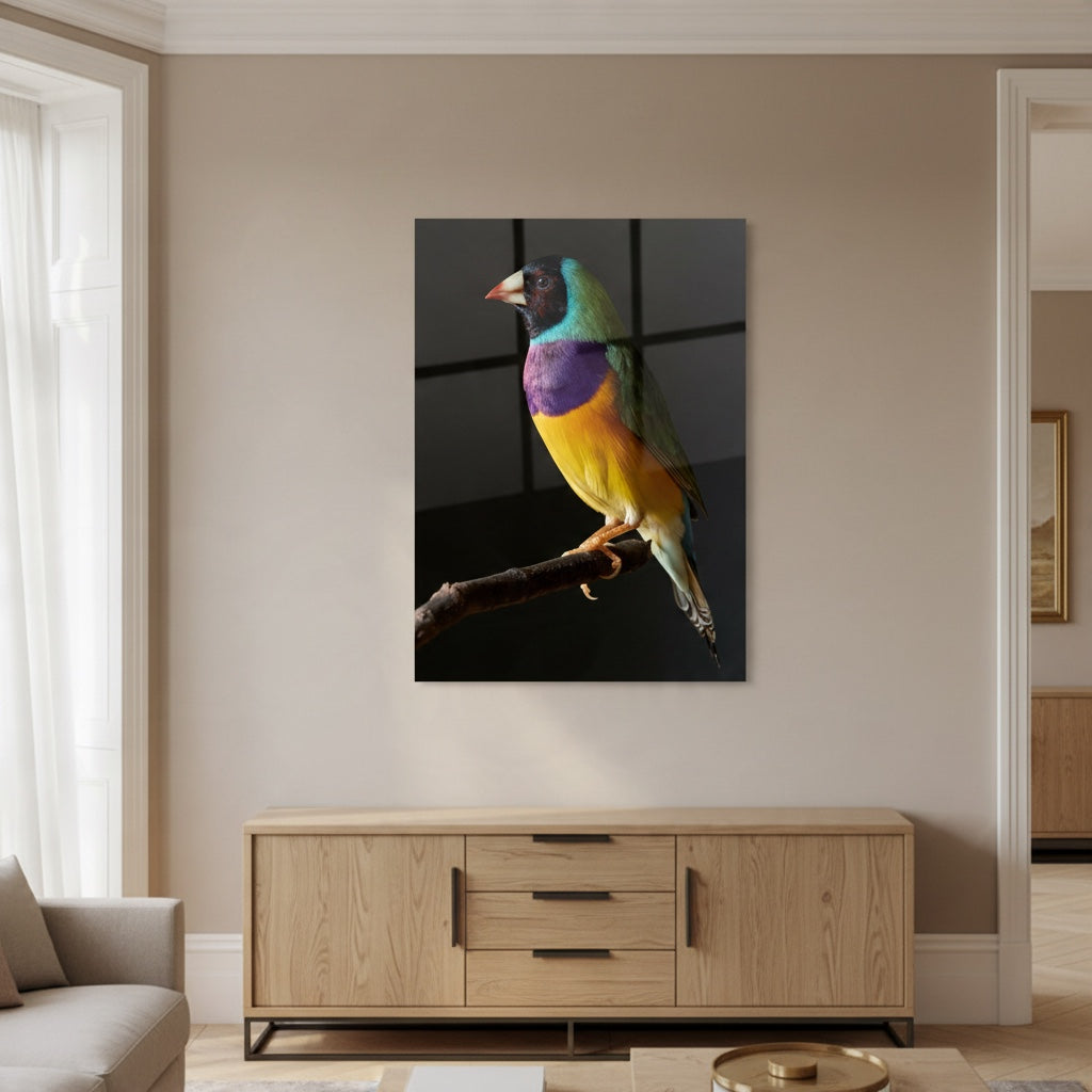 Gouldian Finch 1 — high-gloss aluminium bird art print by Bird Folk — product image 6