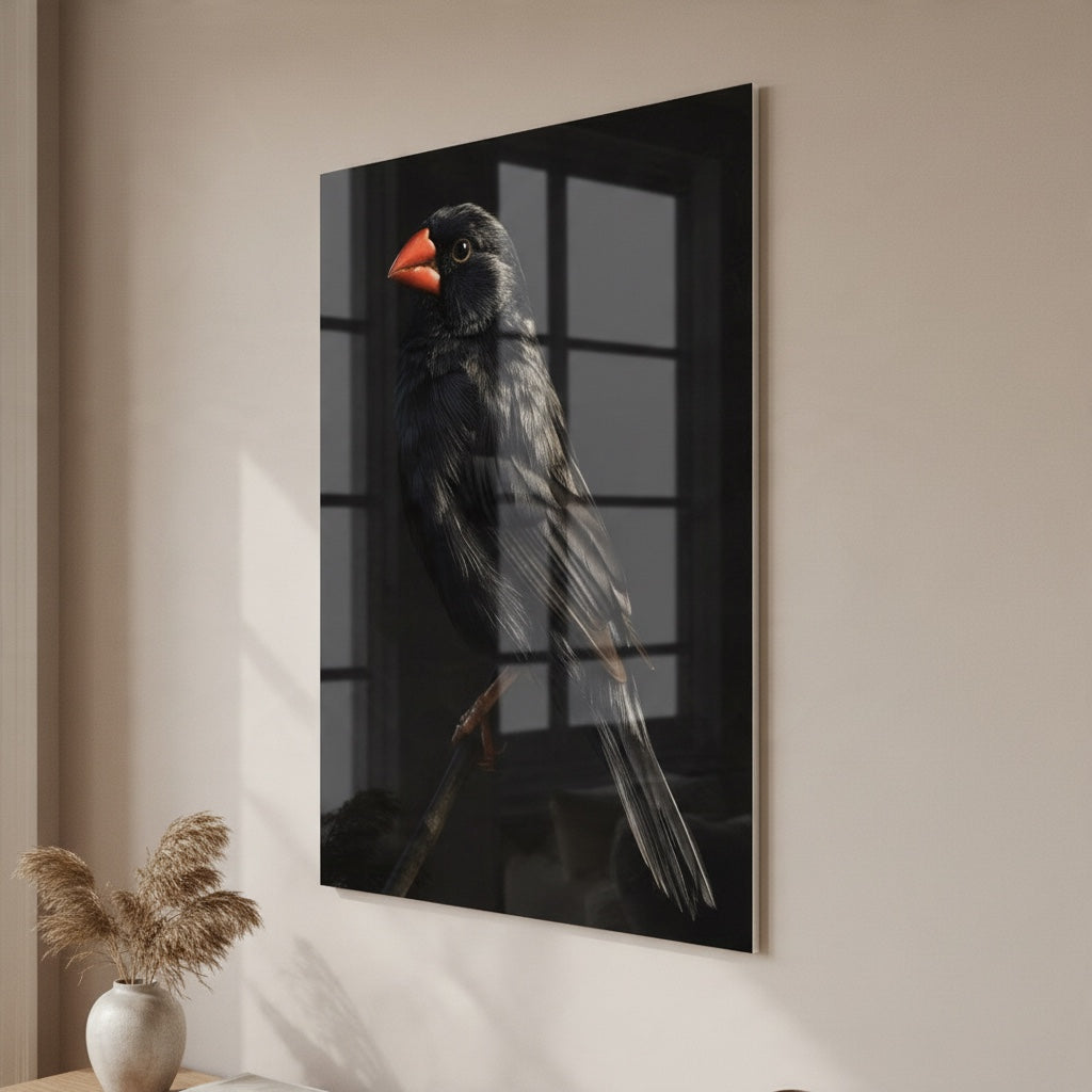 Black Zebra Finch — high-gloss aluminium bird art print by Bird Folk