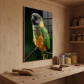 Senegal Parrot — high-gloss aluminium bird art print by Bird Folk