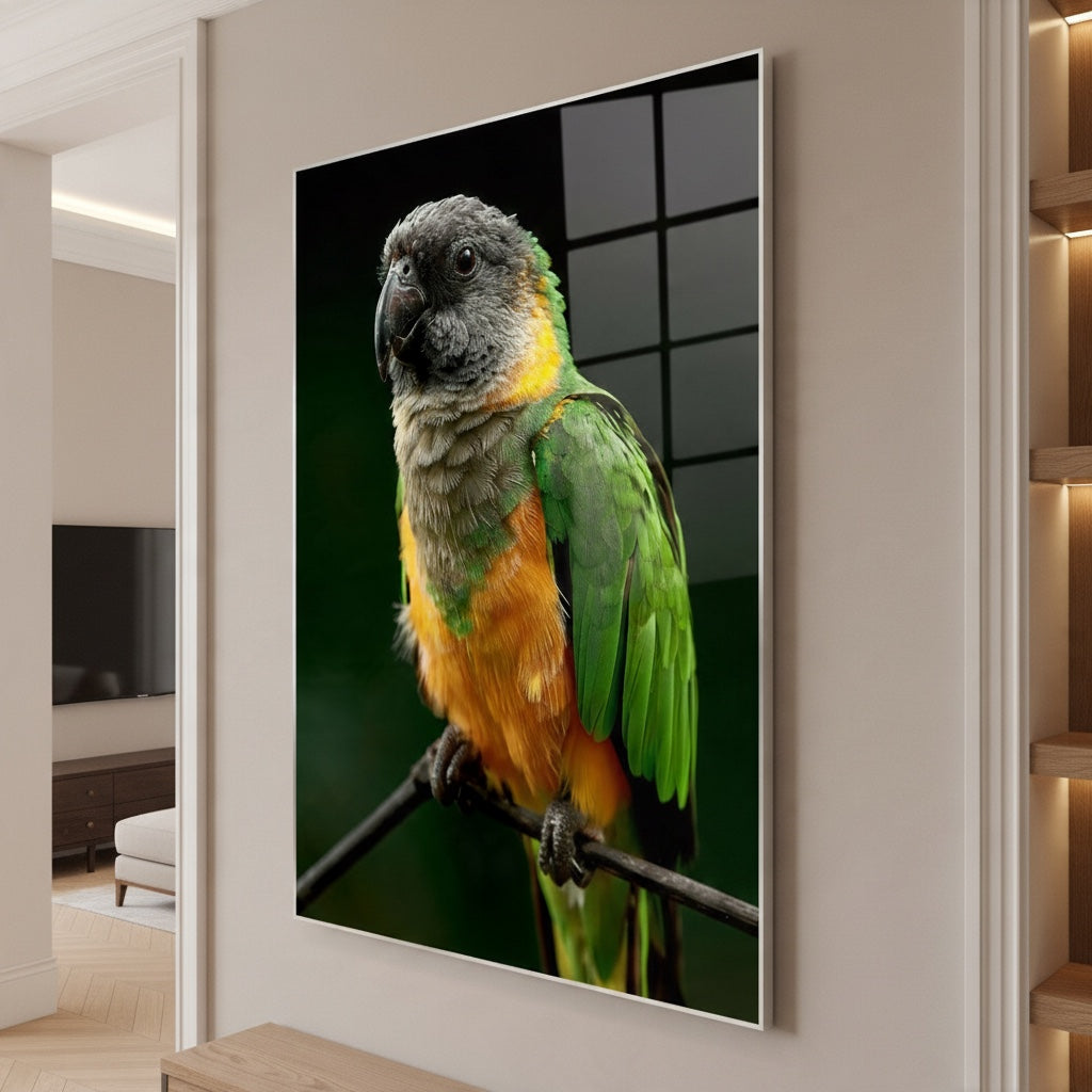 Senegal Parrot — high-gloss aluminium bird art print by Bird Folk — product image 2